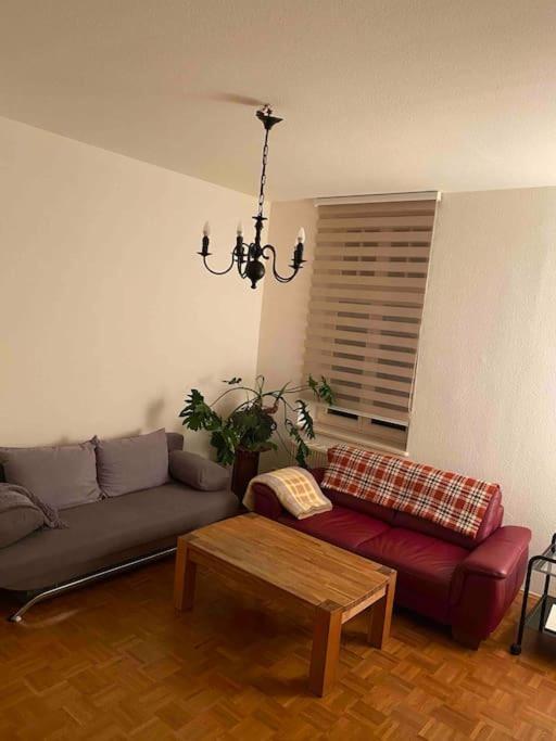 Schone Altbauwohnung Mit Grun In Ruhiger Lage Лайпциг Екстериор снимка